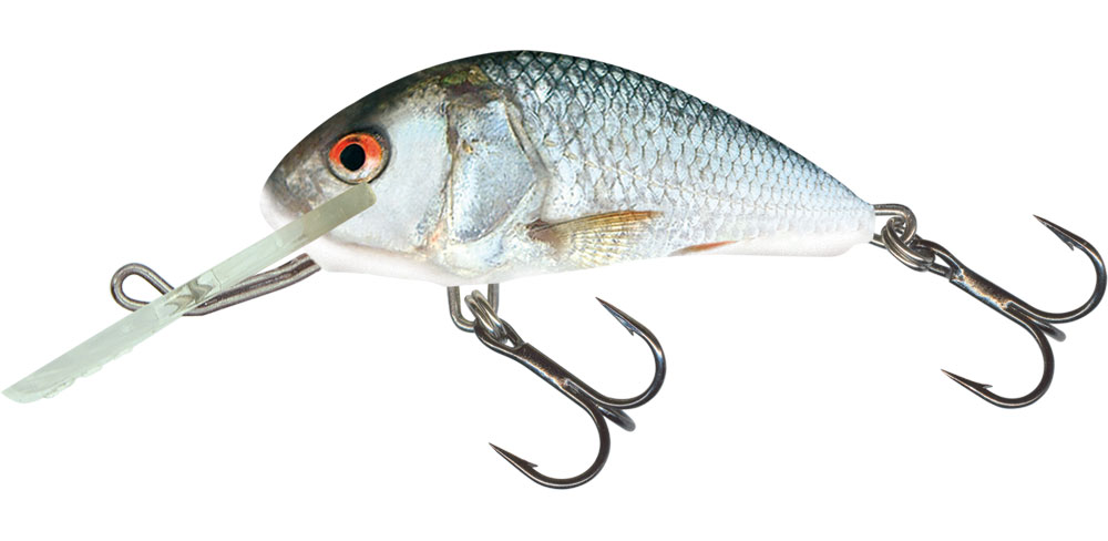 salmo lures