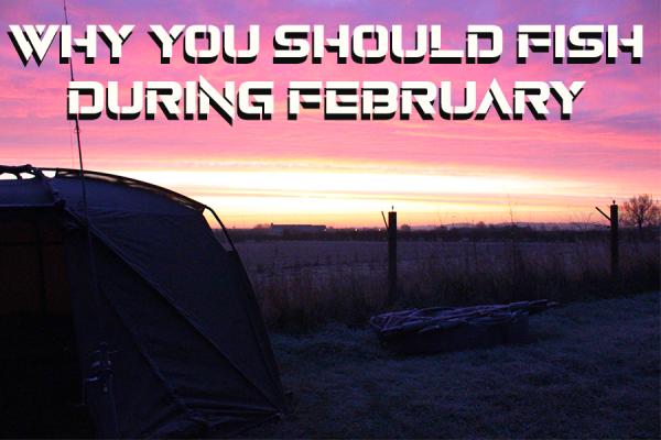 February Is For Winter Carp Fishing - Here's Why