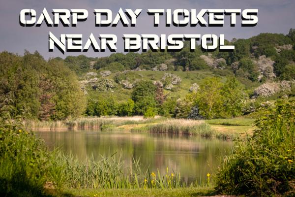 Day Ticket Carp Fishing Venues Near Bristol