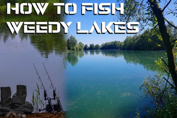 Fishing Weedy Lakes - How to Tackle Weed and Be Presented