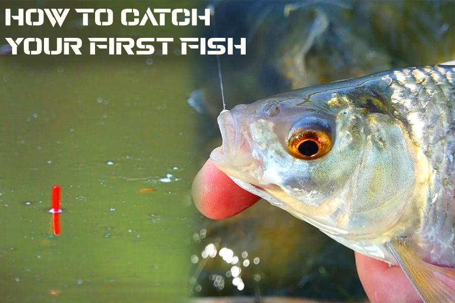Beginner Guide - What You need and How to catch Your First Fish on a Float