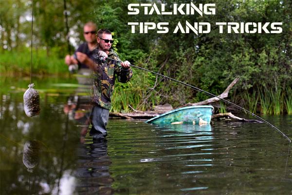 Stalking - Tips and Tricks For Catching Fish Close In!