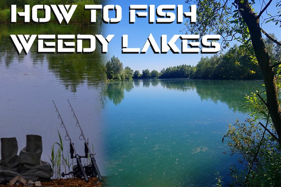Fishing Weedy Lakes - How to Tackle Weed and Be Presented