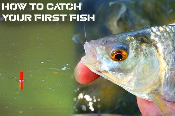 Beginner Guide - What You need and How To Catch Your First Fish on a Float