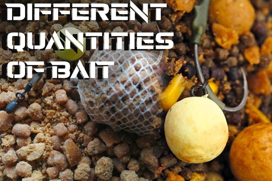 Baiting Approaches - How Fish React Differently To Different Methods of Baiting