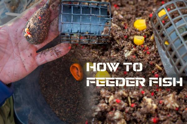 Basic Guide To Feeder Fishing - How To Feeder Fish