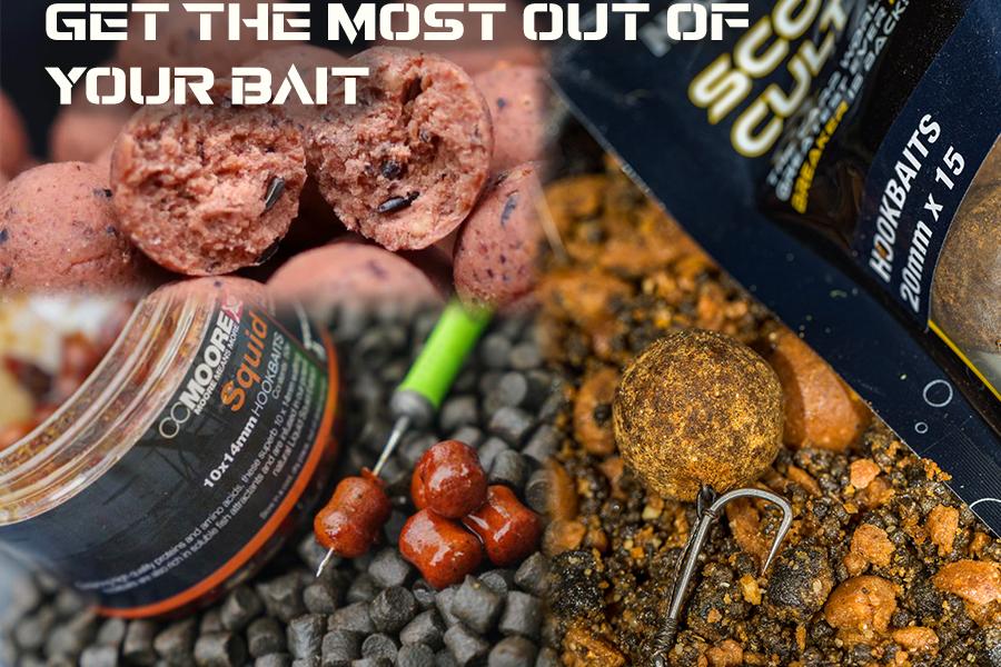 Get The Best Out of Your Bait - 5 Tips and Tricks Which Could Land You More Fish