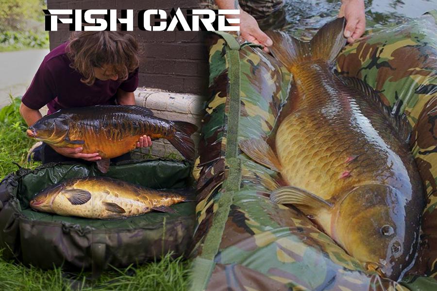 Fish Care - Everything you need to Ensure Fish Saftey