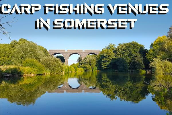 Venue Guide - Day Ticket Carp Fishing Venues In Somerset