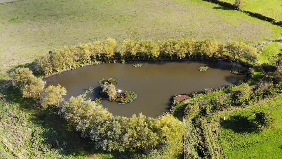 Lake drone Picture