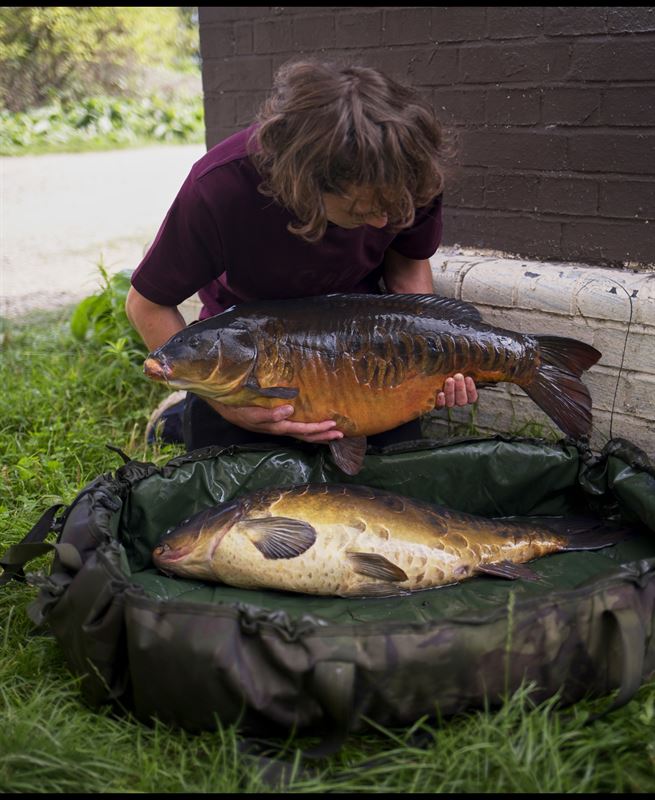 https://www.bristolangling.com/wp/wp-content/uploads/2022/08/spkuihtg637528676151013263.jpg